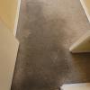 Carpet Care Cleaning