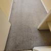 Carpet Care Cleaning