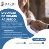 Rivol Abogados