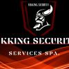 Vikking Security Services