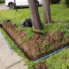 Mantenimiento De Jardín E Instalación Y Mantenimiento De Riego Automático Y Poda De Arboles