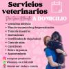 Servicios y contacto