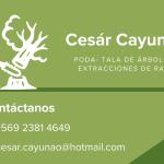 Cesar Cayunao